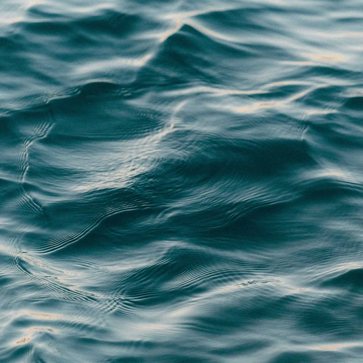 aquatic-inspo_3bdfa0d9-5707-43d0-b318-0c77a87a1e4f.webp